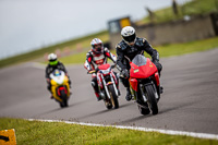 PJ-Motorsport-2019;anglesey-no-limits-trackday;anglesey-photographs;anglesey-trackday-photographs;enduro-digital-images;event-digital-images;eventdigitalimages;no-limits-trackdays;peter-wileman-photography;racing-digital-images;trac-mon;trackday-digital-images;trackday-photos;ty-croes